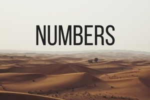 Numbers: Life in the Wilderness
