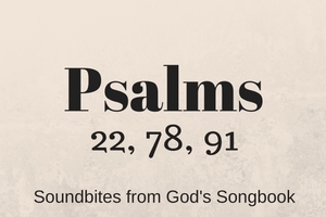 Psalms: Soundbites from God's Songbook