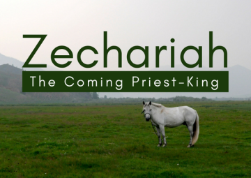 Zechariah: The Coming Priest-King